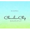 カメレオンチップ(ChameleonChip)ロゴ