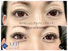 バニーラッシュ(Bunny Lash)/【バインドロック付けたし】