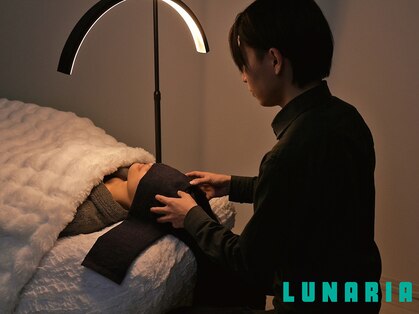ルナ(Lunaria)の写真