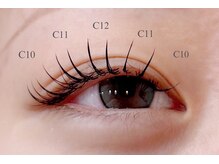 カクテル(COCKTAIL)/フラットラッシュ120本