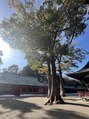 ラビクール 銀座店(Rabbicour)&nbsp;武蔵一宮 氷川神社、京都の晴明神社が心落ち着きます。