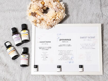 hiraku palm の写真