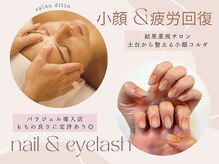 サロンディト(ditto)