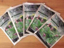 ヨサパークユウ 門司店(YOSA PARK 優)/YOSAハーブ