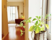 アロマモーラ オーガニック(Aromamora Organic)