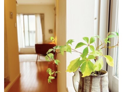 アロマモーラ オーガニック(Aromamora Organic)の写真