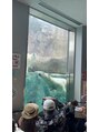 ハーティ 押上(Hearty) 去年母を北海道旅行へ連れて行った時の旭山動物園のシロクマさん