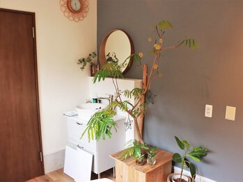 スゥ(Sod)/インテリア