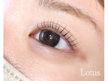 ロータス(Lotus)