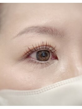 ヒカリス ナカザキ(HIKARIS Nakazaki)/パリエク上下　デザインカラー