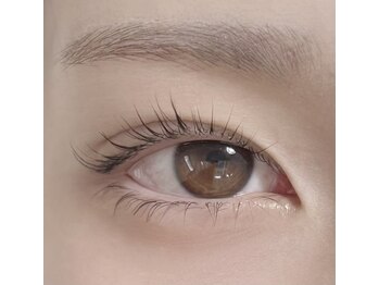 プエラ ラシェス(PUELLA lashes)/ラッシュリフト