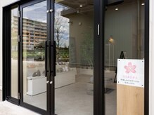サクラ(SAKURA)