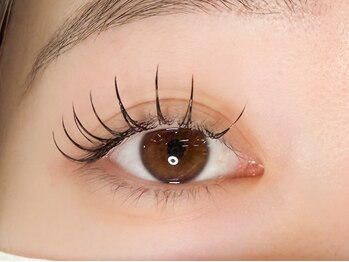 サレヤ(Sareya)/フラットラッシュ120本 