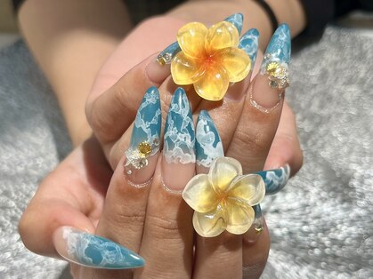 プロテア(protea)の写真