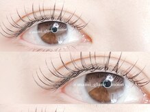 グランツムーン(Glanz moon)/【フラットラッシュ100本】