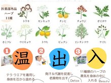 ヨサパーク ミモザ 三軒茶屋店(YOSA PARK Mimosa)の雰囲気（痩せの秘訣は漢方11種×水素を粘膜吸収→子宮から温めて根本改善）