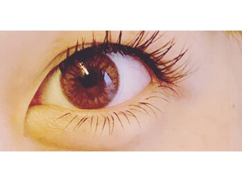 アプリコット(apricott)/【下まつげエクステ】¥1500