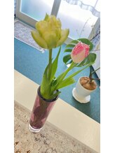 マシュマロハンド/よもぎ蒸し/冷え/むくみ改善