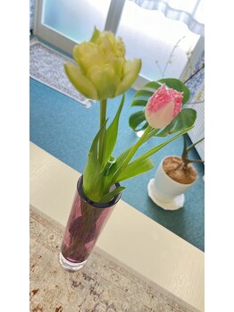 マシュマロハンド/よもぎ蒸し/冷え/むくみ改善