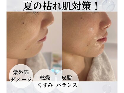 サロンパッテデシャット(salon patte de chat)の写真