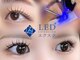 モンスリール 麻布十番(Mon Sourire)の写真/LEDマツエクでモチ抜群◎【LEDエクステ100本まで初回￥7900】美しい仕上がりを長くキープ！[麻布十番]