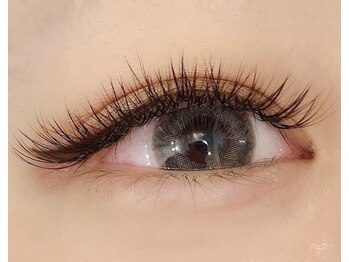 ロコ(Loco by neolive)/バインドロック 120束