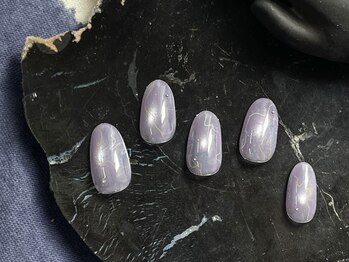 6月定額デザイン