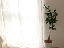 モンカプチーノ(Moncappuccino)/アイブロウで印象を変える