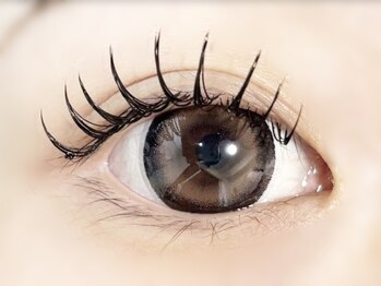 プレモ(Premo)/フラットラッシュ120本