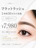 【期間限定】フラットラッシュ1時間30分付け放題(160本まで)￥7980