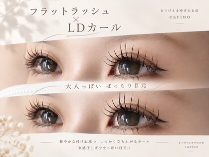 カリノ(carino)の写真