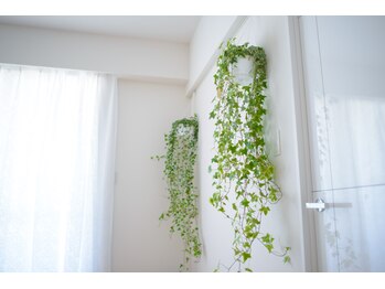 ゆるパワースポット/