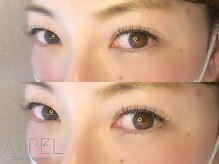 アペル(APPEL)/新生活応援！