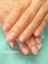 定額制カルジェル2024-12