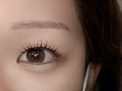 ラナブラン(lana blanc)の写真