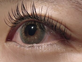 カラン 焼津店(CALIN)/フラットラッシュ140本