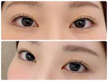 ピピ(pipi)/ねこまんま