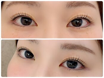 ピピ(pipi)/ねこまんま