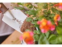 酵素の恵 松井山手店/おがくず堆肥差し上げています