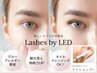 【16～19日限定☆】LEDフラット100本☆花粉対策アイシャンプー特典付◎