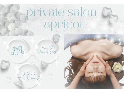 アプリコット(apricot)の写真