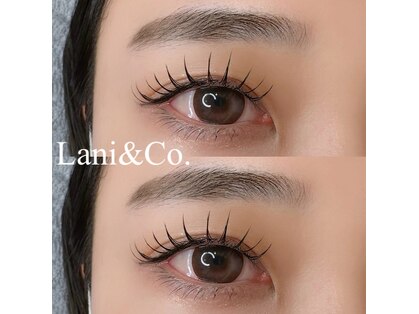 ラニ(Lani)の写真