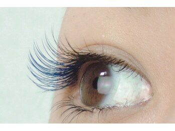 ボニータ(BONITA)/