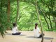 スパ 和薬草の写真