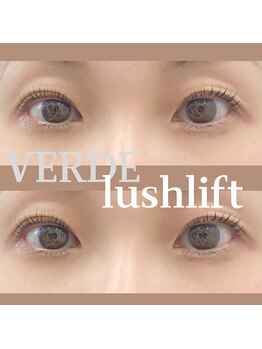ヴェルデ 八尾/ラッシュリフト