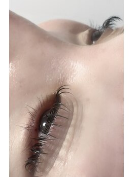 コリー(Cory.)/LEDフラットラッシュ120本