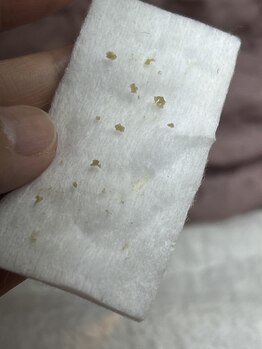 ジェリー(JERRY)/梅雨