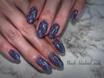ノアブルーバードネイルズ(Noah' bluebird .nails)/フラッシュマグネット