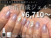 ネイルサロン ディーバ 調布店(Diva)