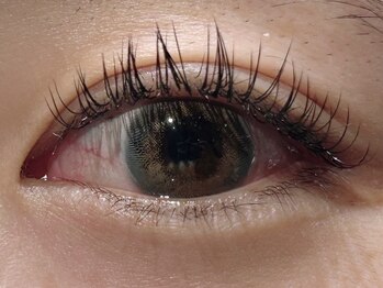 カラン 焼津店(CALIN)/フラットラッシュ140本